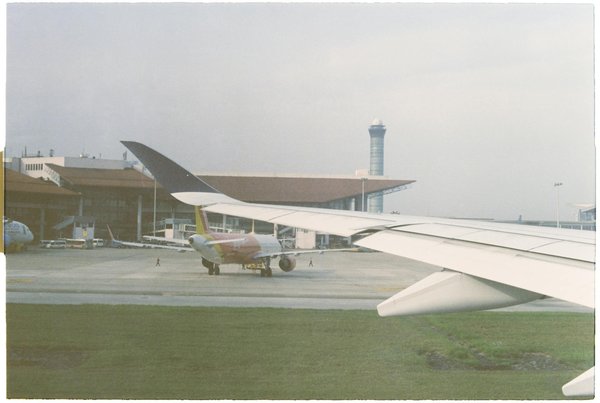 Quels sont les meilleurs spots pour observer les tortues de mer aux Seychelles ?